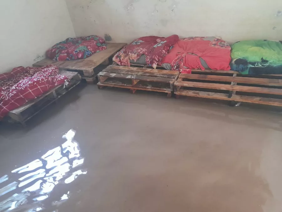 Lluvias causan daños en refugio para perros en Pan