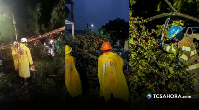 Las emergencias por lluvias provocaron caída de árboles, inundaciones, daños a vehículos y una persona lesionada.