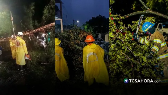 Las emergencias por lluvias provocaron caída de árboles, inundaciones, daños a vehículos y una persona lesionada.