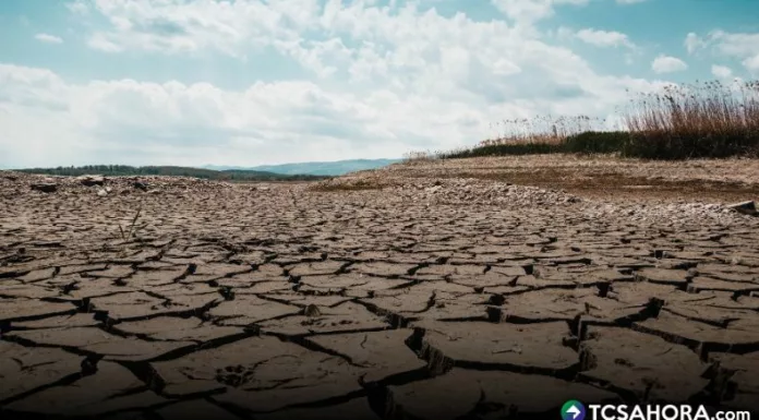 Ricardo Navarro, presidente del CESTA, dijo estar preocupado porque ya inició El Niño y, a partir de octubre, se convertirá en Súper Niño.