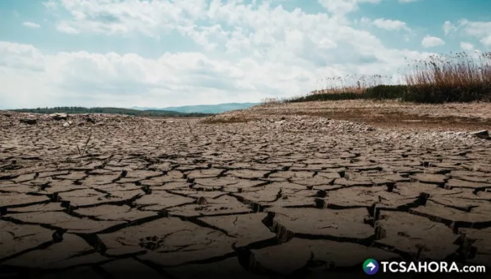 Ricardo Navarro, presidente del CESTA, dijo estar preocupado porque ya inició El Niño y, a partir de octubre, se convertirá en Súper Niño.