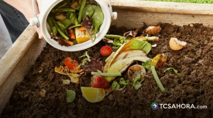 Los estudiantes forman parte de cada etapa del proceso del compostaje y con la aplicación de los biofertilizantes.