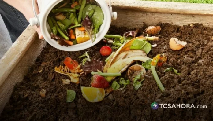 Los estudiantes forman parte de cada etapa del proceso del compostaje y con la aplicación de los biofertilizantes.
