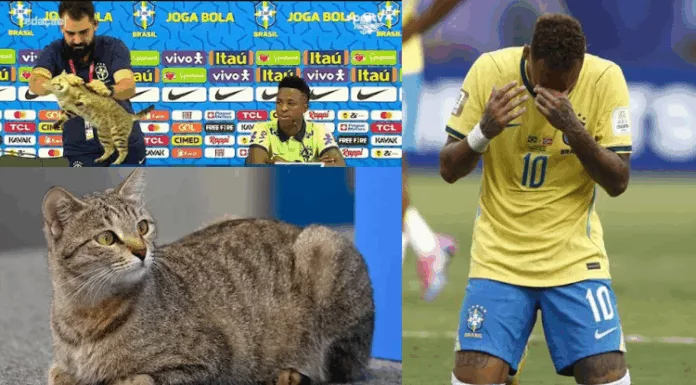 Brasil perdió ante Noruega y quedó eliminado del mundial 2026, lo que hizo recordar la presunta maldición del gato, un curioso episodio de Qatar 2022.