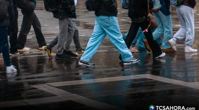 Del 1 de enero al 3 de julio de este año, 261 peatones han fallecido atropellados, según datos del Observatorio Nacional de Seguridad Vial.