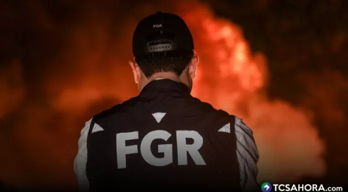 Según las autoridades, la droga fue decomisada en diferentes puntos del país durante operativos realizados entre la FGR y PNC.