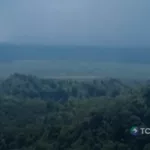 ¿Qué es el microclima? Esto debes saber