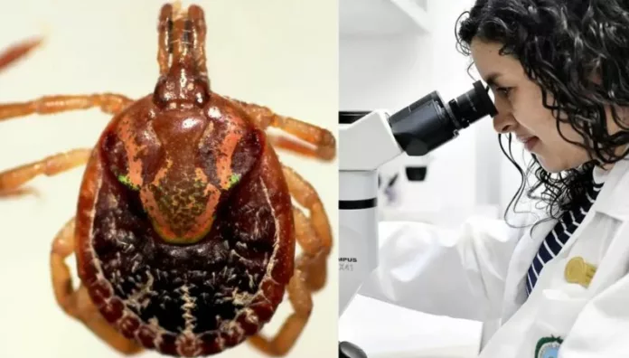 Un extraño virus en garrapatas fue detectado por primera vez en Costa Rica y el cual había permanecido inadvertido.
