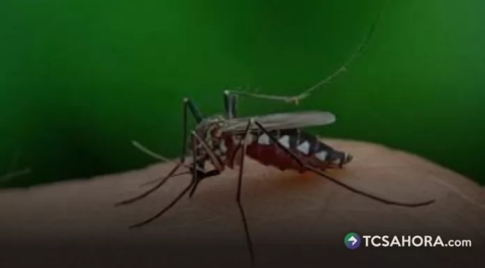 Según el Ministerio de Salud, los grupos etarios más vulnerables al dengue son las personas de entre 5 y 19 años.