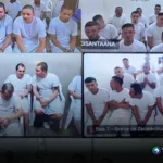 Pandilleros recibieron condenas de hasta 82 años