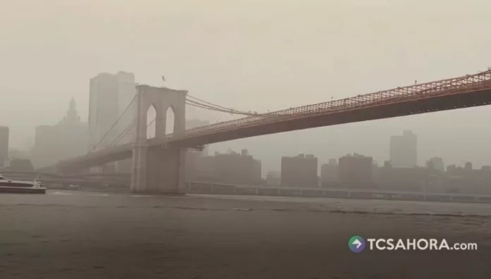 Donald Trump responsabilizó a Canadá por el humo de los incendios forestales que afectan al territorio estadounidense.