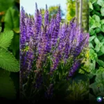 Estas son las plantas que ahuyentan a las cucarachas