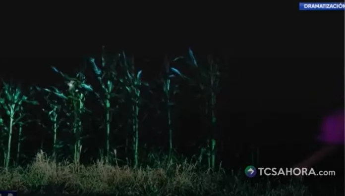 Al caer la noche en Caluco, el misterio se apodera de los cultivos. En medio del silencio, agricultores aseguran que algo paranormal ocurre.