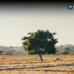 La Unión con sequía meteorológica moderada