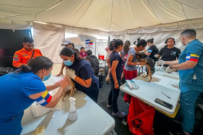 Un mes de terremotos en Venezuela: casi 5,400 fallecidos y $19,600 millones en daños