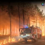Incendios forestales “sin precedentes” afectan regiones de Francia