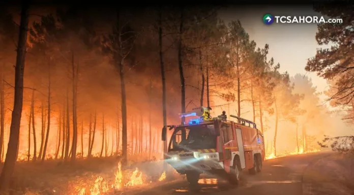 Incendios forestales “sin precedentes” afectan regiones de Francia