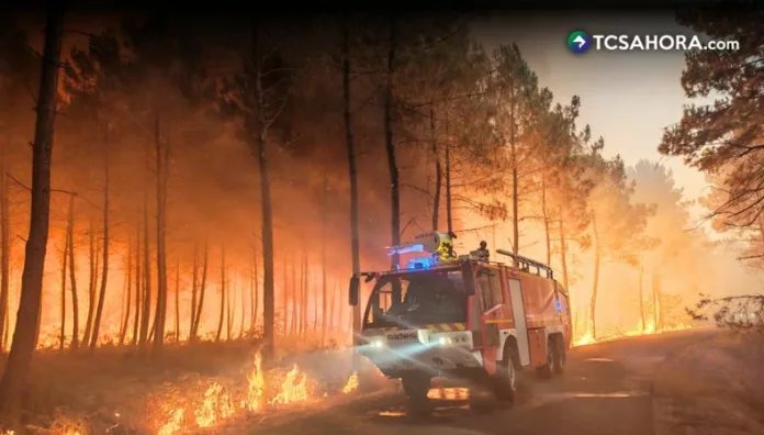 Incendios forestales “sin precedentes” afectan regiones de Francia