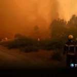 Incendios arrasan 98 mil hectáreas y ponen a Francia en alerta