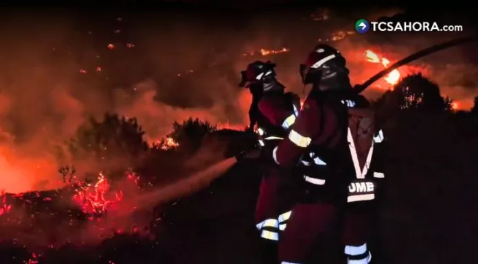 Más de 104 mil personas afectadas por incendios forestales en España
