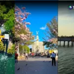 Buses alegres, Centro Histórico y parques listos para las vacaciones
