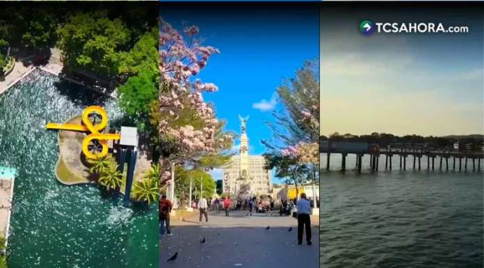Buses alegres, Centro Histórico y parques listos para las vacaciones