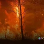 España y Francia luchan contra voraces incendios