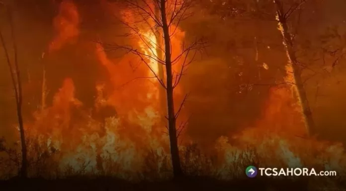 Europa está experimentando una actividad de incendios forestales tras las altas temperaturas en España y Francia.