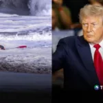Trump condecorará a joven salvavidas tras rescate de un niño