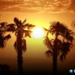 Emiten advertencias por calor extremo en Estados Unidos