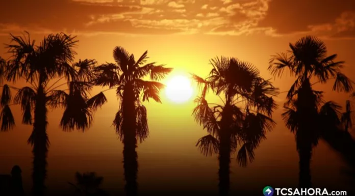 El calor extremo en Estados Unidos afectará a millones de personas de 19 estados. Las autoridades han emitido advertencias.