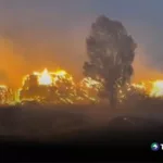 Declaran estabilizada situación de incendios en Madrid y Ávila