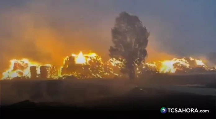 Declaran estabilizada situación de incendios en Madrid y Ávila