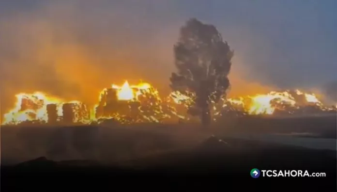 Declaran estabilizada situación de incendios en Madrid y Ávila