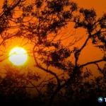 Altas temperaturas aumentan riesgo de sufrir insolación