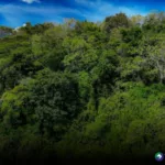 Parque Nacional El Imposible: un rincón entre cascadas y bosques