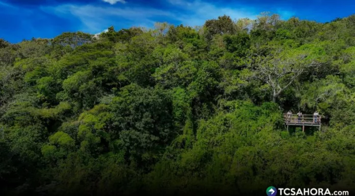El Parque Nacional El Imposible, en el departamento de Ahuachapán, forma parte de las Áreas Naturales Protegidas de El Salvador