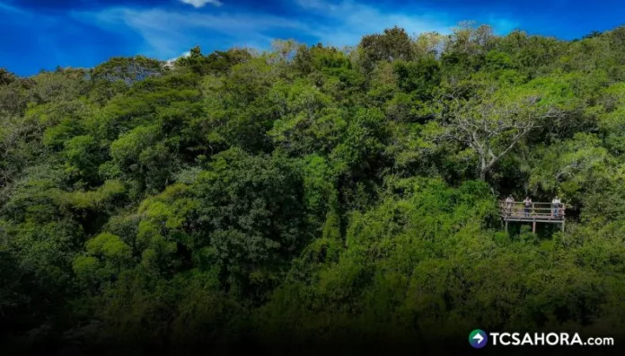 El Parque Nacional El Imposible, en el departamento de Ahuachapán, forma parte de las Áreas Naturales Protegidas de El Salvador