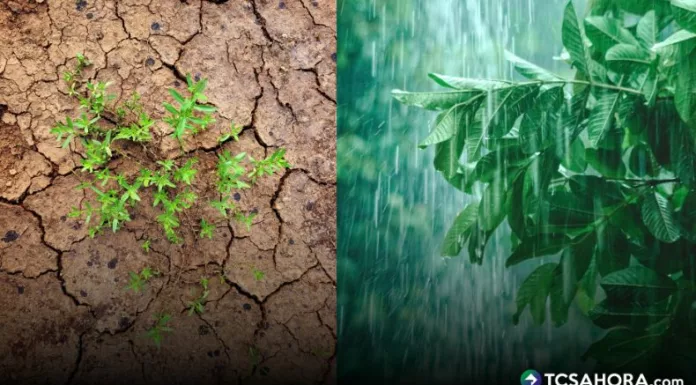 El MARN afirma que las lluvias recientes pusieron fin a la sequía meteorológica y a la ola de calor que afectaban al país.