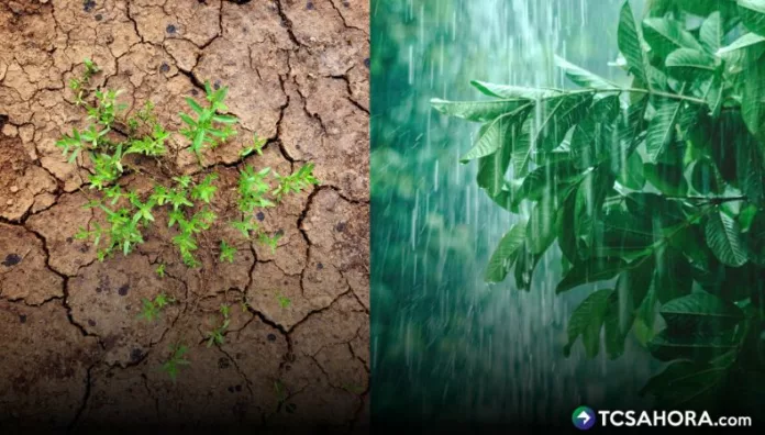 El MARN afirma que las lluvias recientes pusieron fin a la sequía meteorológica y a la ola de calor que afectaban al país.