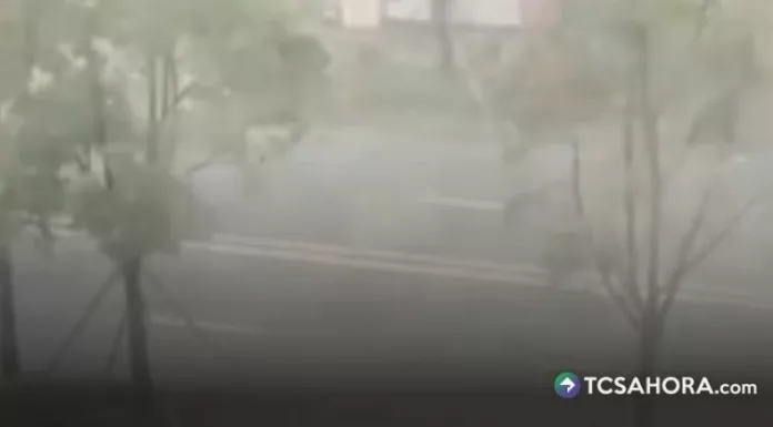 El tifón Dolphin llegó a China con fuertes vientos y lluvias, mientras las autoridades activaron medidas de emergencia.