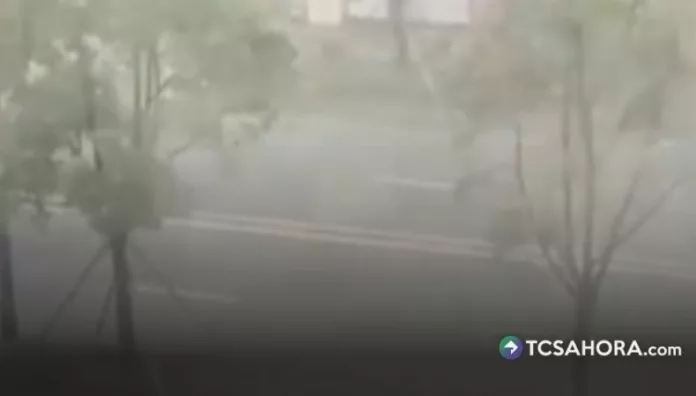 El tifón Dolphin llegó a China con fuertes vientos y lluvias, mientras las autoridades activaron medidas de emergencia.
