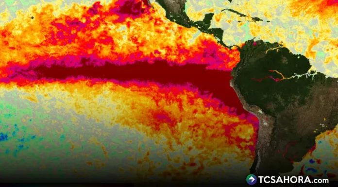 El pronóstico de la NOAA es que tendremos un fenómeno de El Niño muy fuerte. El Salvador lo enfrentará, pero sin tener soberanía alimentaria.