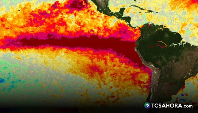 El pronóstico de la NOAA es que tendremos un fenómeno de El Niño muy fuerte. El Salvador lo enfrentará, pero sin tener soberanía alimentaria.