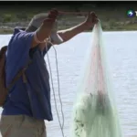 Sequía afecta producción de camarón en Usulután