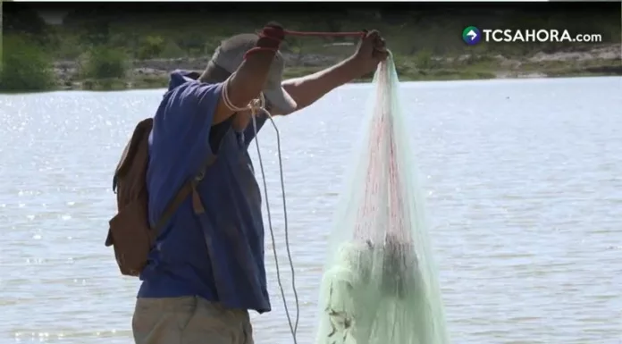 Sequía afecta producción de camarón en Usulután
