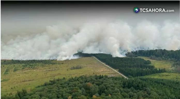Incendio forestal consume más de 3 mil hectáreas en Bélgica