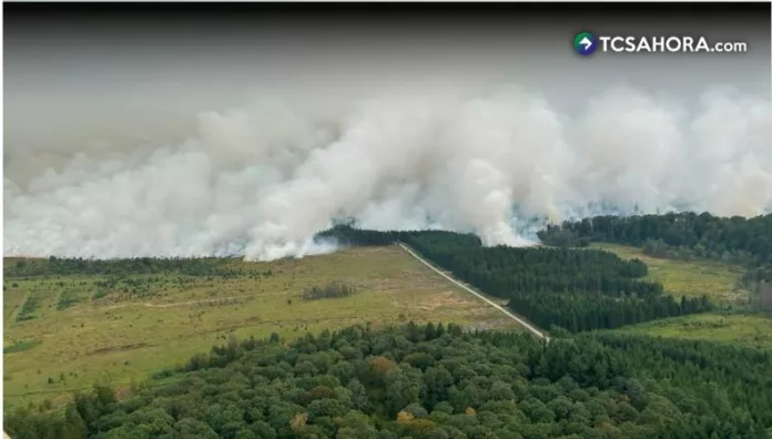 Incendio forestal consume más de 3 mil hectáreas en Bélgica