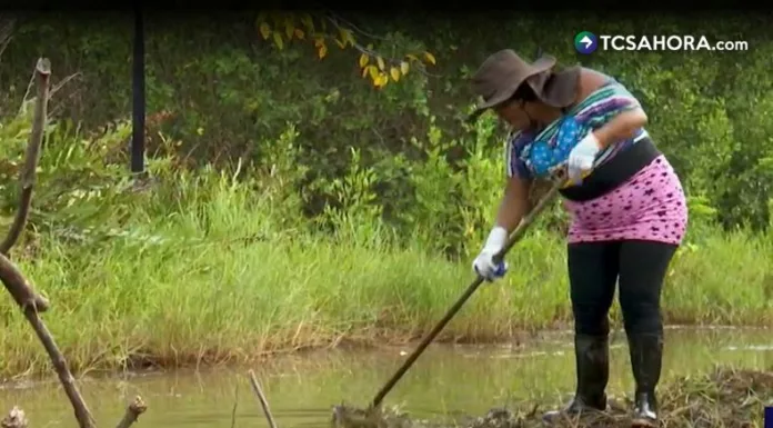 Mujeres lideran restauración de manglar en Barra de Santiago