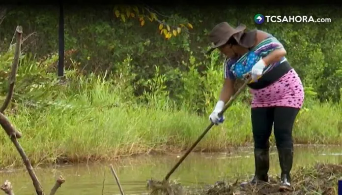 Mujeres lideran restauración de manglar en Barra de Santiago